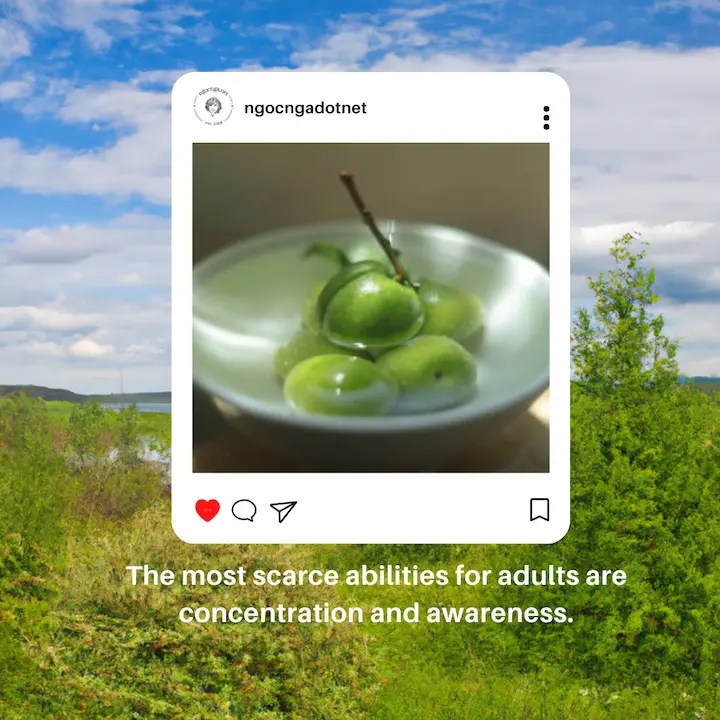 The most scarce abilities for adults are concentration and awareness
