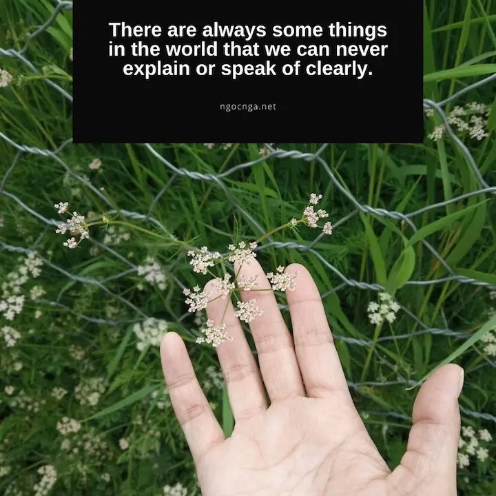 There are always some things in the world that we can never explain or speak of clearly