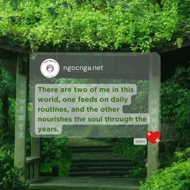 There are two of me in this world, one feeds on daily routines