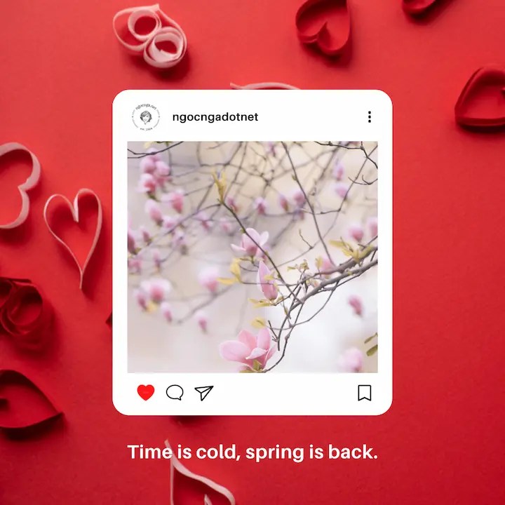 Time is cold, spring is back