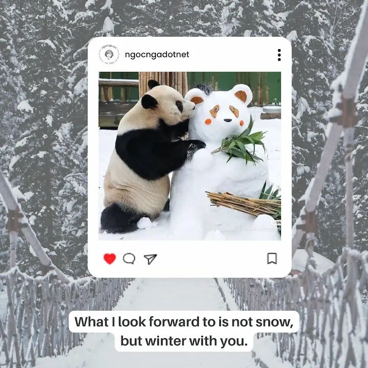 What I look forward to is not snow, but winter with you