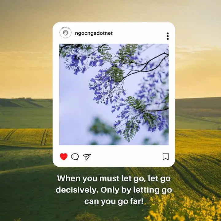 When you must let go, let go decisively