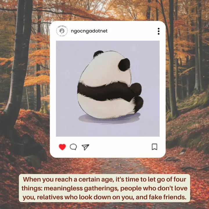 When you reach a certain age, it's time to let go of four things