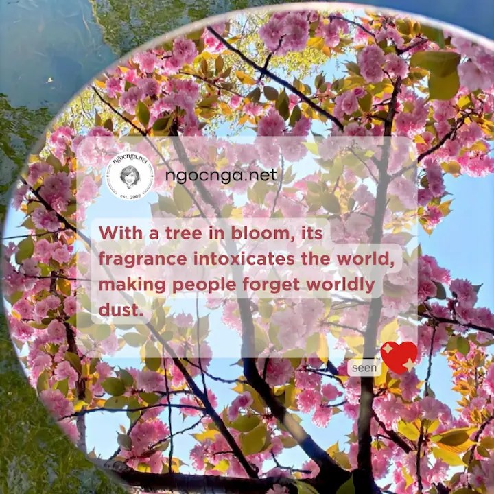 With a tree in bloom, its fragrance intoxicates the world