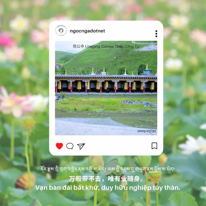 You can't take everything with you except karma