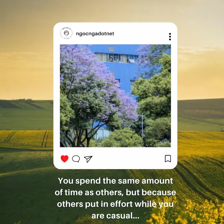 You spend the same amount of time as others