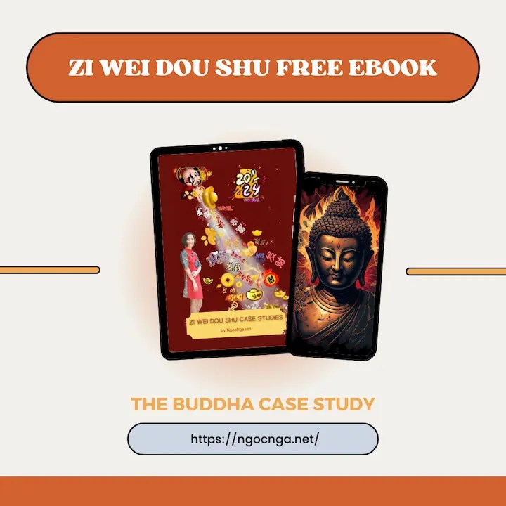 Zi Wei Dou Shu Analysis Ebook - The Buddha Case Study