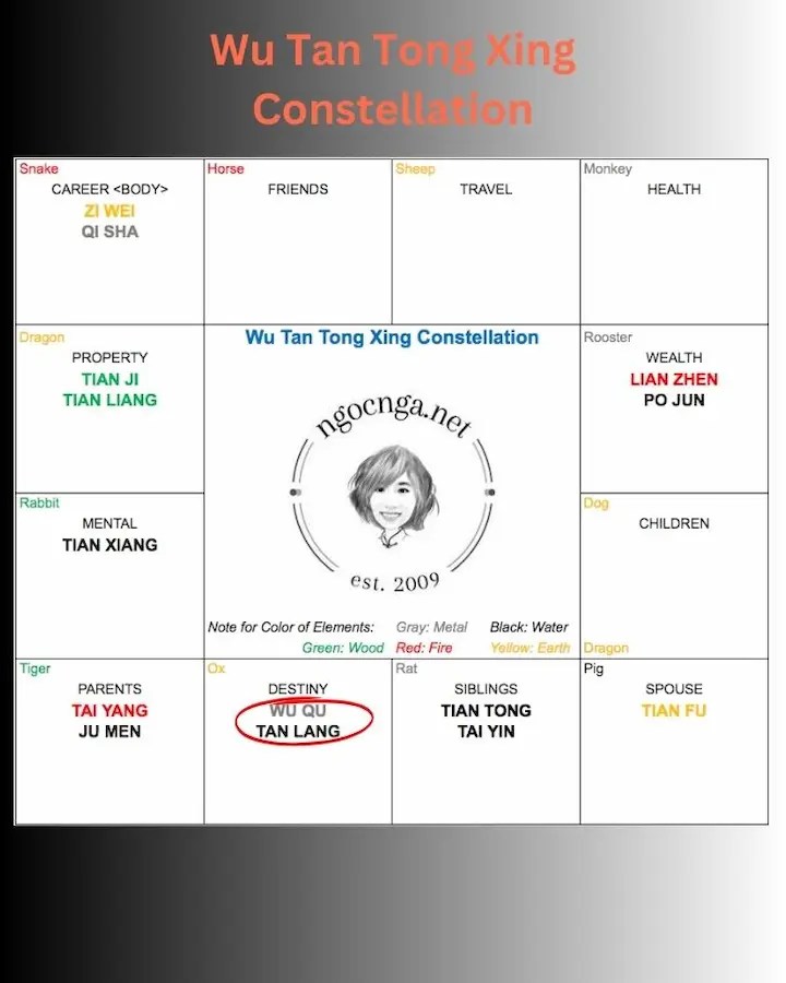 Zi Wei Dou Shu Constellation: Wu Tan Tong Xing