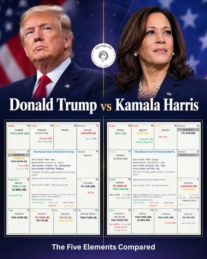 Trump And Harris: The Five Elements Compared