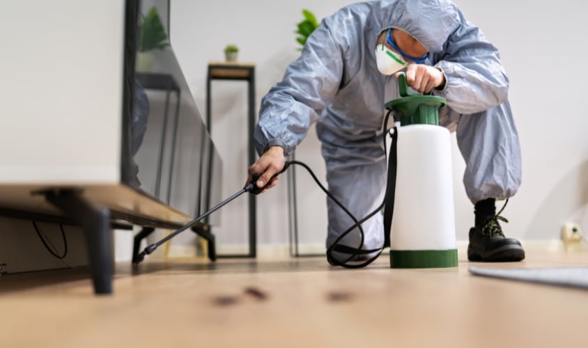 Person in protective suit spraying pesticide on floor with handheld sprayer