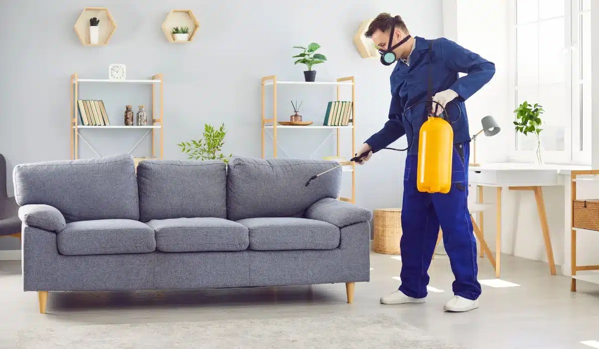 Pest control worker in blue uniform sprays yellow pesticide container toward gray couch in modern living room