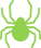 Green spider icon with eight legs