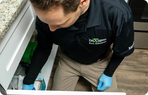 Technician wearing blue gloves inspects or services the interior of an HVAC or appliance unit