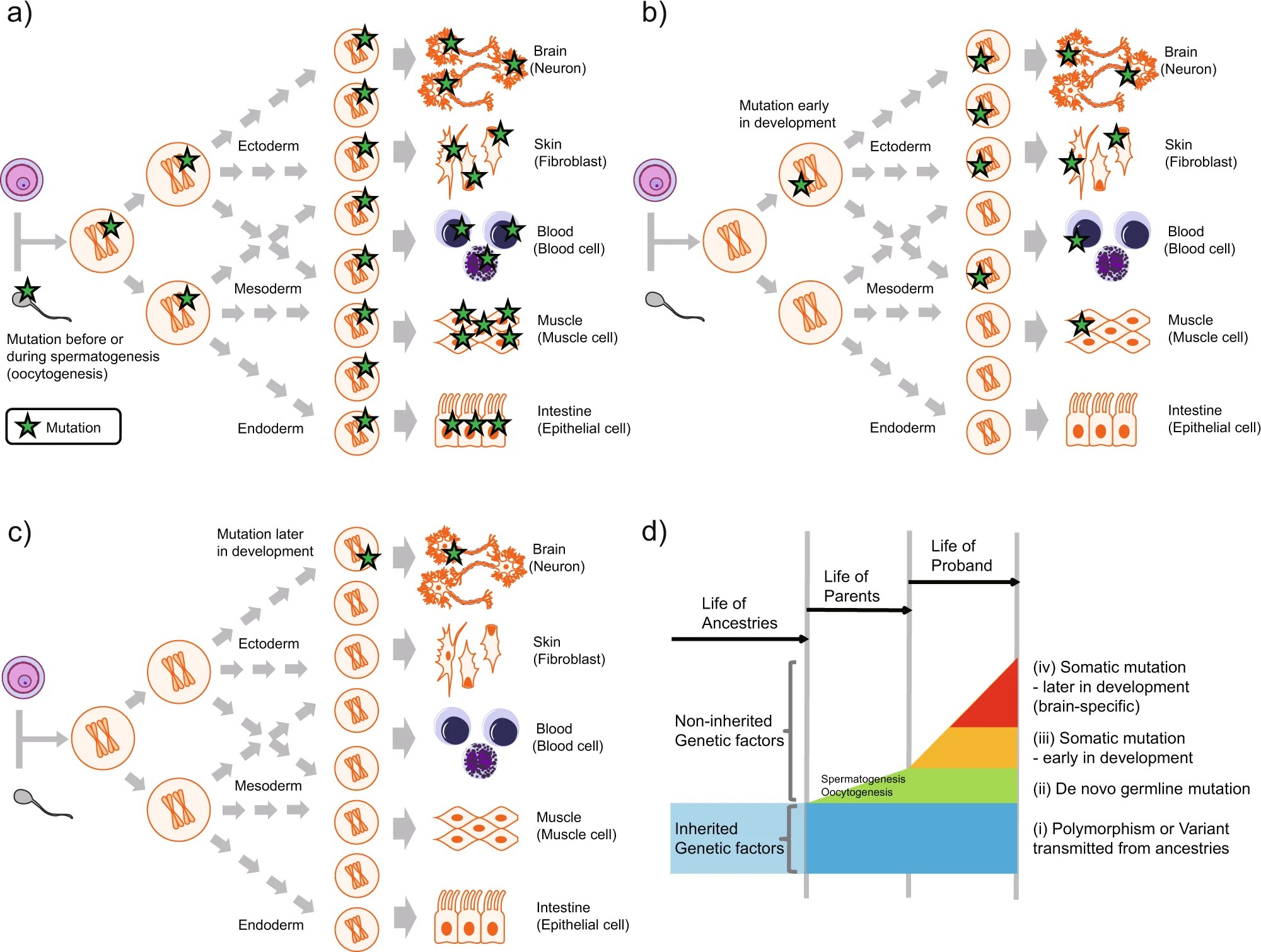 How To Analyze Whole Genome Sequencing Data For Absolute Beginners Part 2A: Matched Tumor-Normal Mutation Calling With Mutect2