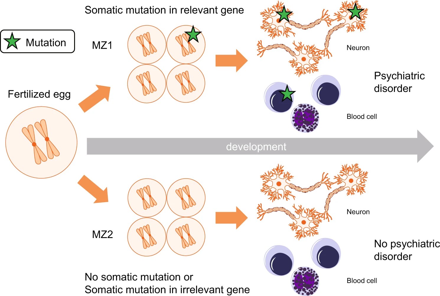 How To Analyze Whole Genome Sequencing Data For Absolute Beginners Part 2B: Unmatched Sample Mutation Calling Strategies