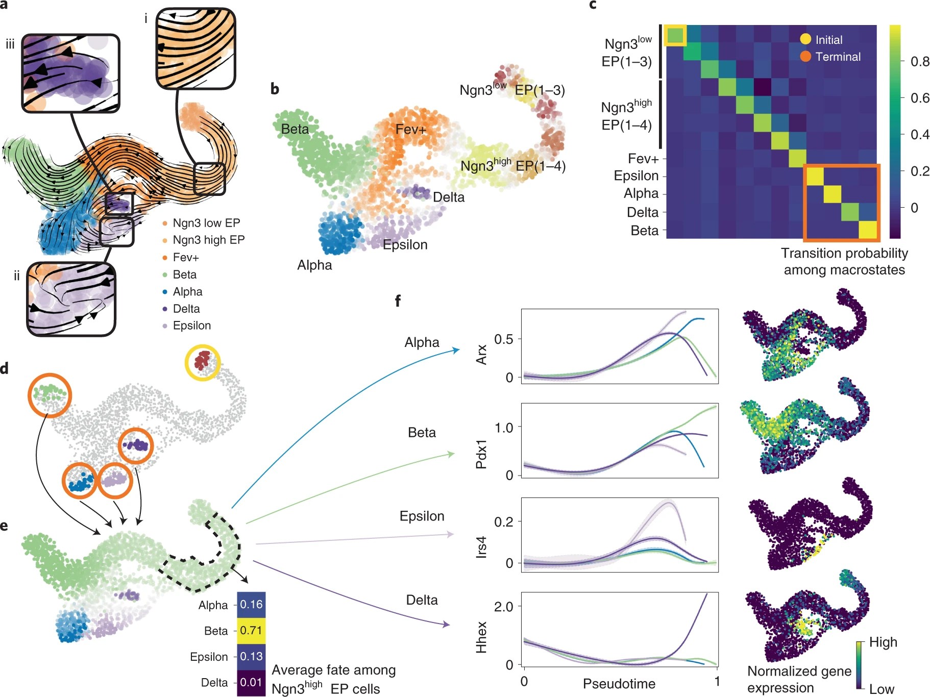 How to Analyze Single-Cell RNA-seq Data — Complete Beginner’s Guide Part 14: Cell Fate Probability Analysis with CellRank