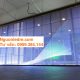 Màn hình led trong suốt giá rẻ
