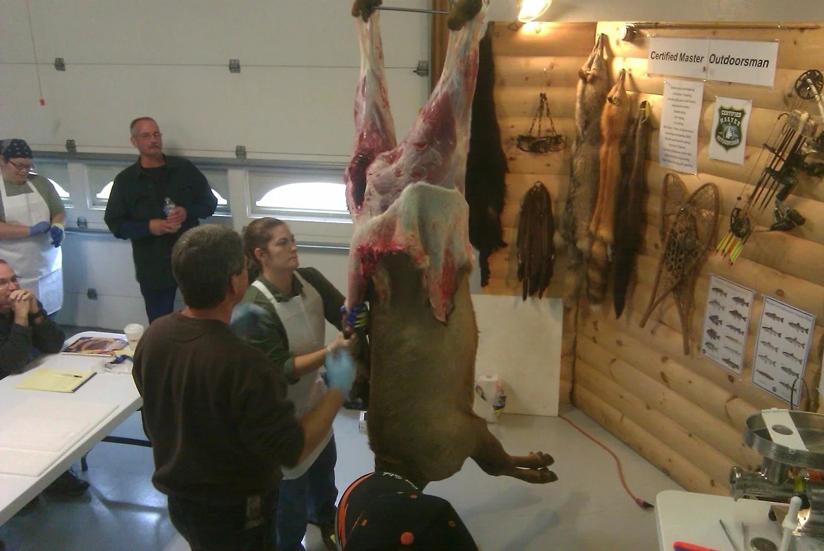 Dnr educators provide classroom lessons, field trip opportunities, professional development and experiential programs to teachers around the state. Big Game Meat Processing Nh Outdoor Learning Center