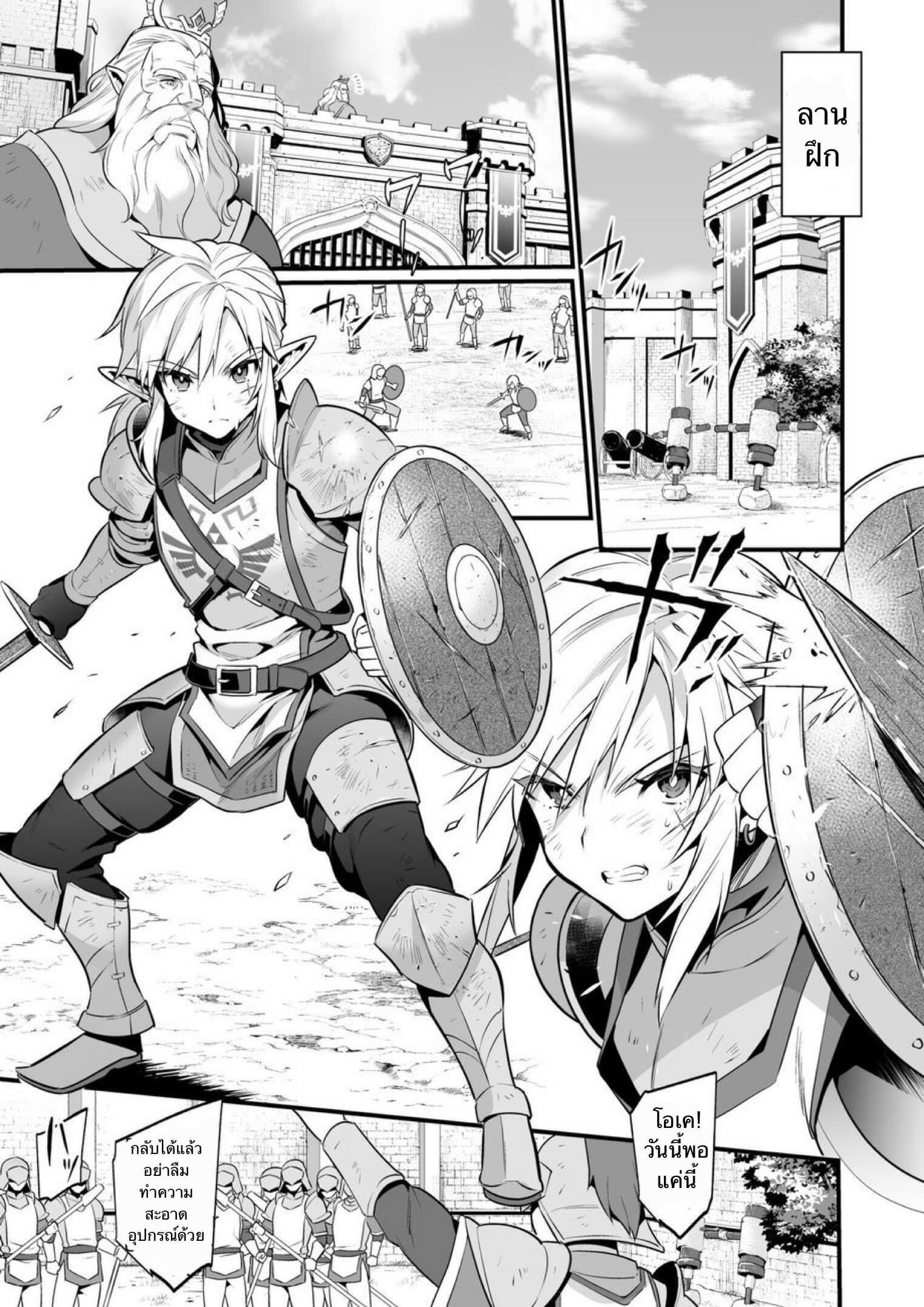 กะหรี่ในกองทัพ [Morittokoke (Morikoke)] Kunrenhei no Junan | The Suffering of a Trainee (The Legend of Zelda) ภาพ 3