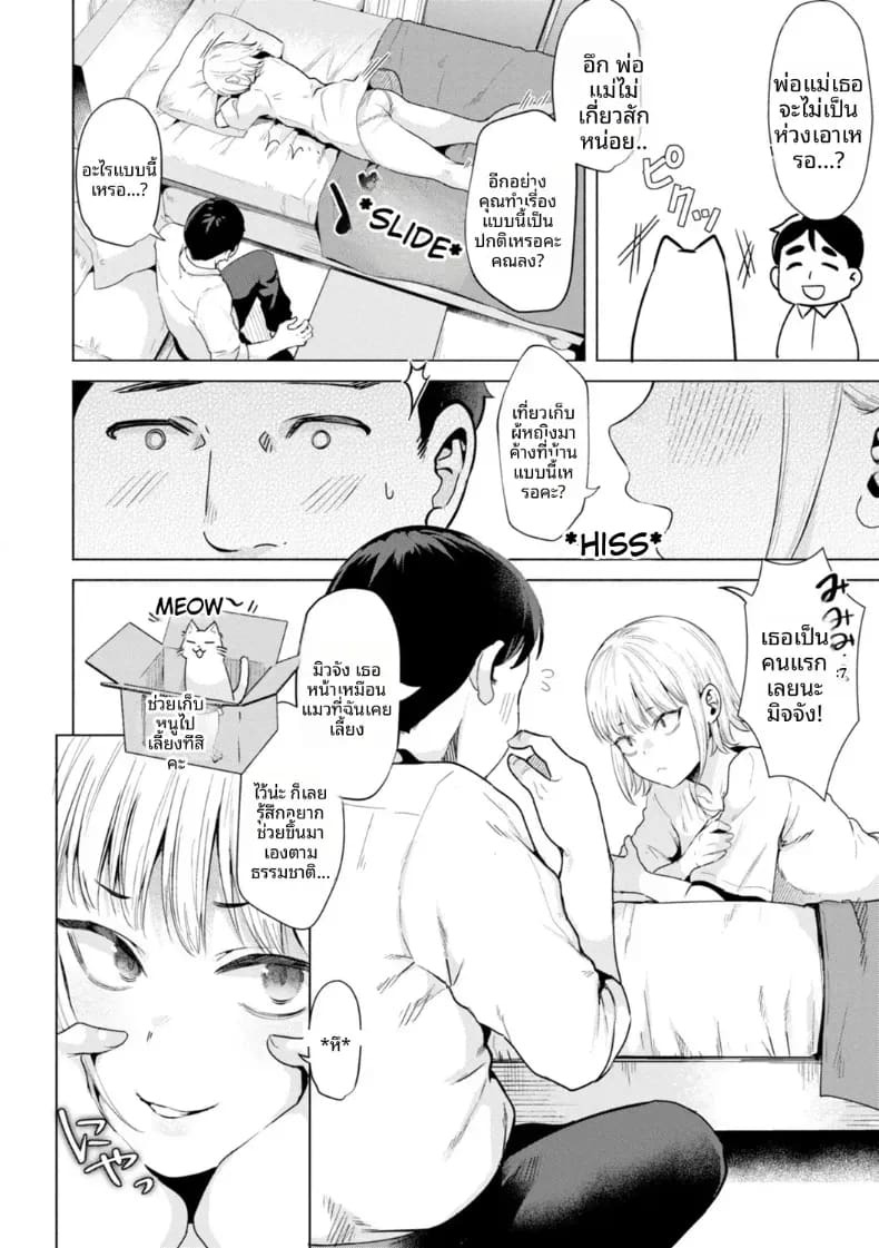 เก็บแมวจรจัดมาเลี้ยง ภาพ 3