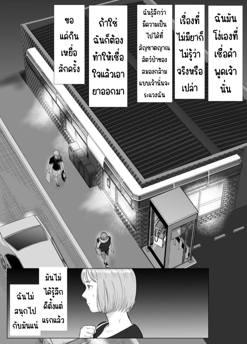 ปัญหาของเภสัชกรสาวสวย [Bad End Dreamer] Hameotoshi Bijin Yakuzaishi no Nayamigoto ปัญหาของเภสัชกรสาวสวย 3 ภาพ 41