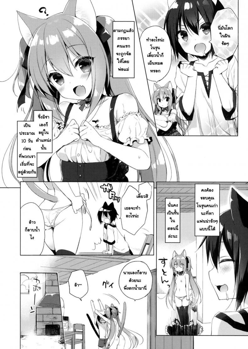 เกิดใหม่ทั้งทีอยู่ในโลกคนหูสัตว์ซะแล้ว (C93) [23.4do (Ichiri)] Boku no Risou no Isekai Seikatsu - My Ideal Life In A Different World ภาพ 6