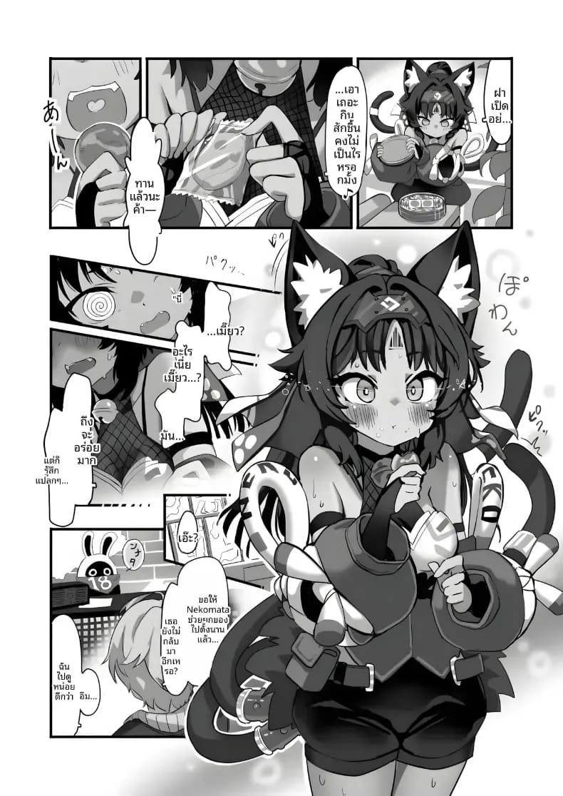 เเมวที่เสพเเคทนิป (Nito) ภาพ 2