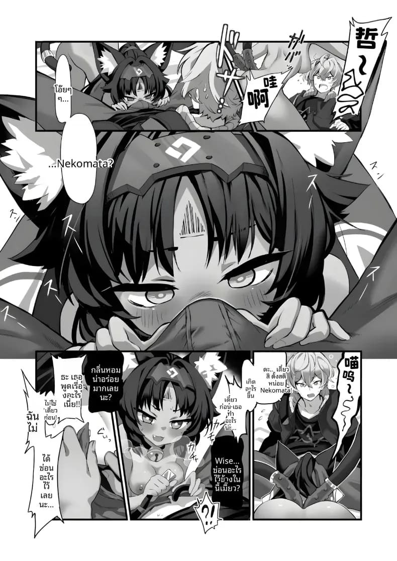 เเมวที่เสพเเคทนิป (Nito) ภาพ 4
