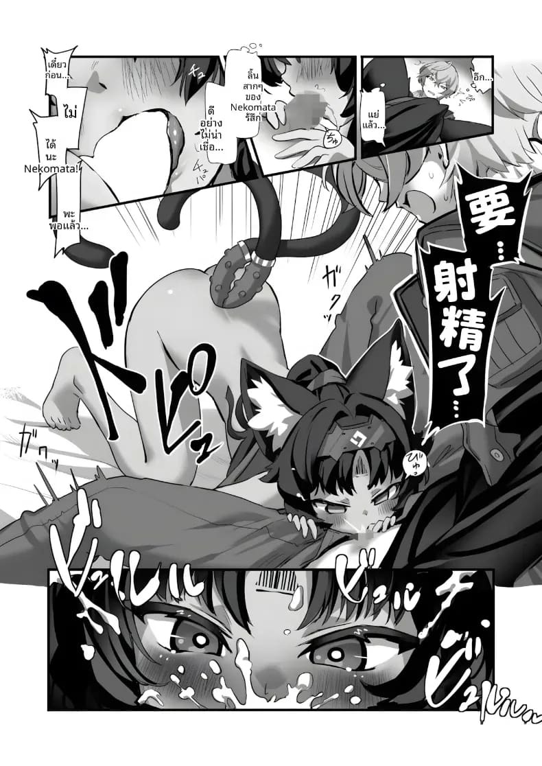 เเมวที่เสพเเคทนิป (Nito) ภาพ 6