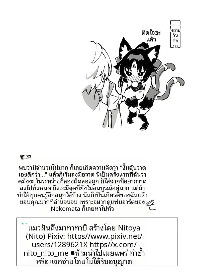 เเมวที่เสพเเคทนิป (Nito) ภาพ 21