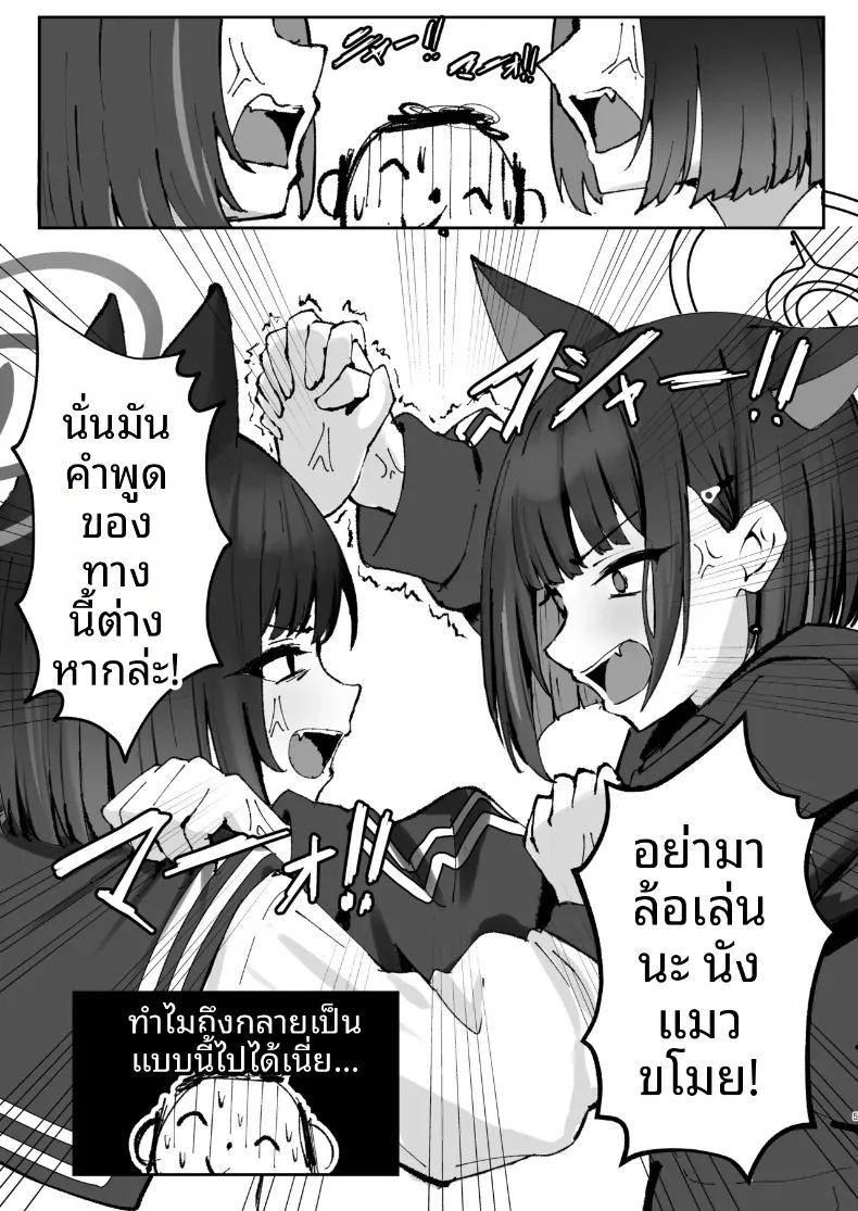 เลี้ยงแมวหลายตัว แค่สองตัวก็พอแล้ว ภาพ 4