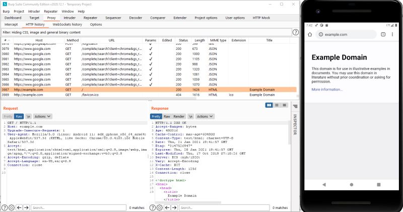 Frida Scripts To Directly Mitm All Https Traffic From A Target Mobile - Gradient Picture Collection - 8K Quality