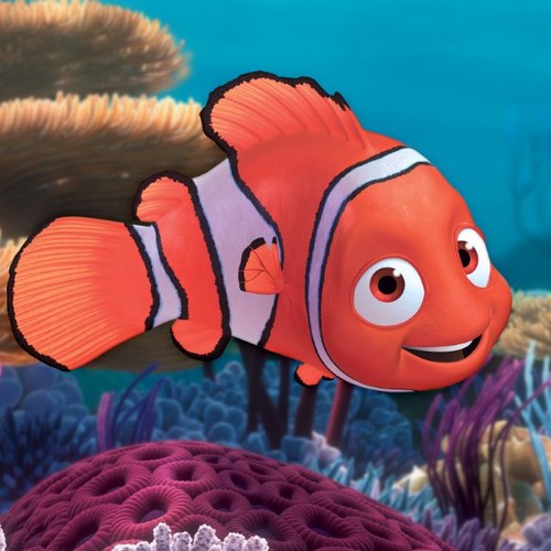 صور كرتون نيمو , سمكة البهلوان الصغيرة و الشقية جدا نايس
