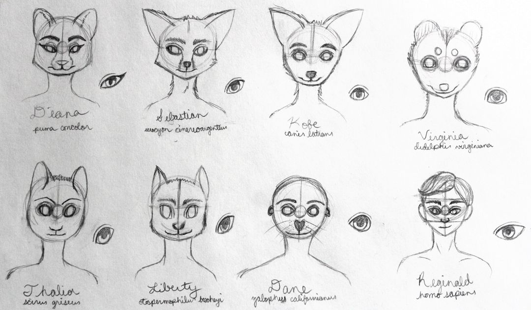 bust sketches of several anthropomorphic animals and a human character