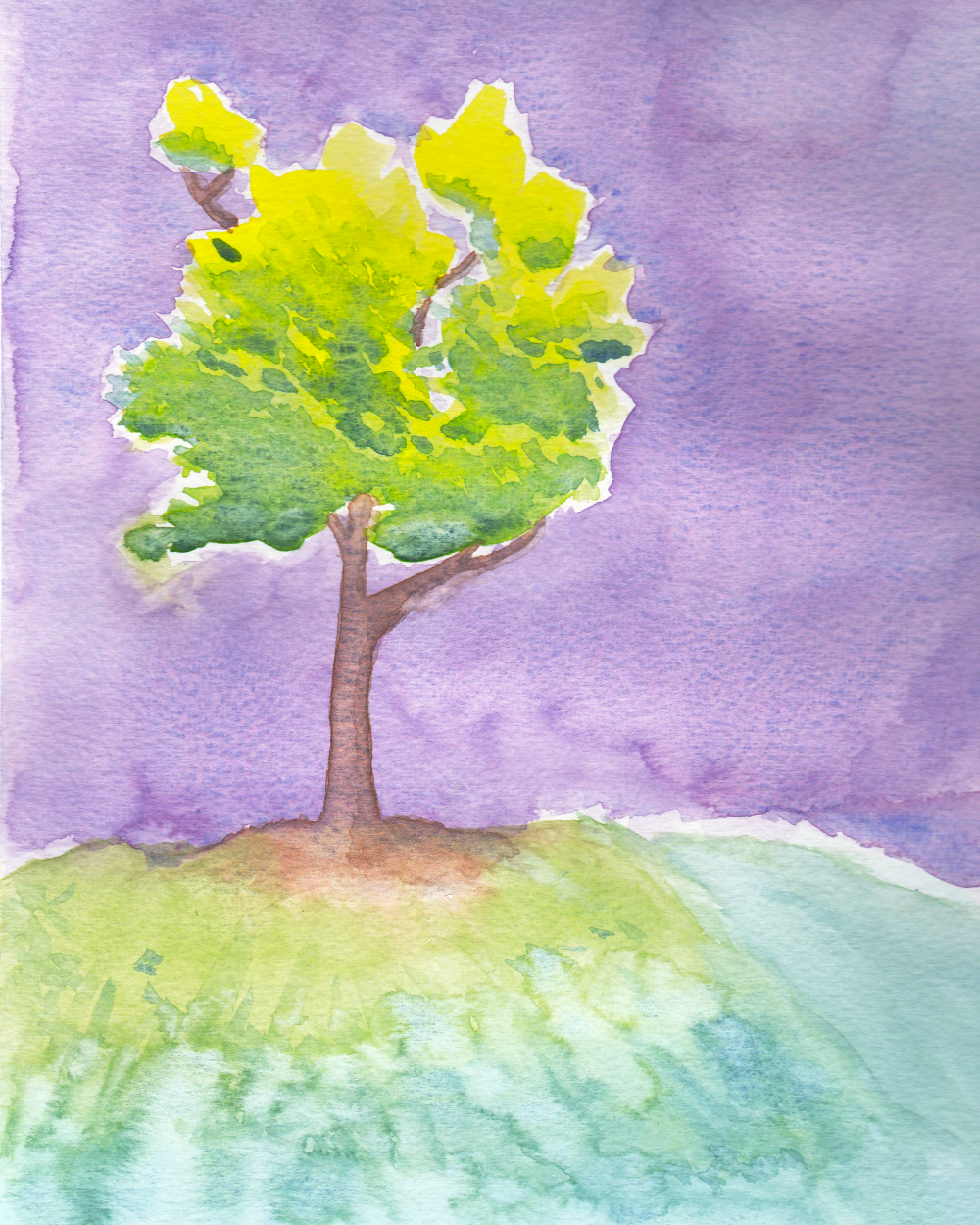 Tree on a Hill