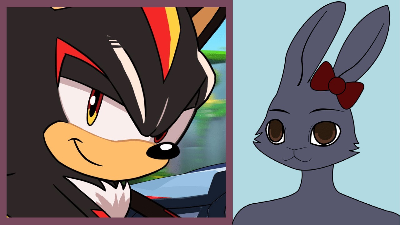 thumbnail with the anthropomorphic hedgehog Shadow from Team Sonic Racing Overdrive next to an anthropomorphic rabbit