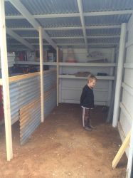chicken coop shed into turned pallets base way floor build