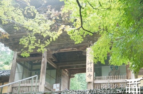 京都高雄神護寺|京都賞楓名所-夏天的風景