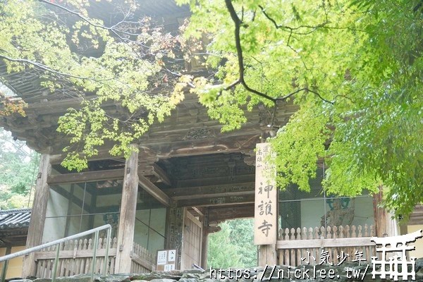 京都高雄神護寺|京都賞楓名所-夏天的風景