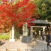 興聖寺與琴坂-京都宇治的賞楓景點
