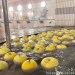 青森住宿-青森之宿Apple Land(南田溫泉)-可以泡蘋果湯的飯店