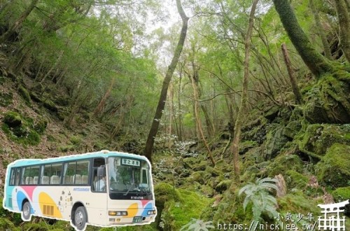 屋久島交通-飛機與渡輪航班、島內交通巴士路線介紹