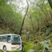屋久島交通-飛機與渡輪航班、島內交通巴士路線介紹