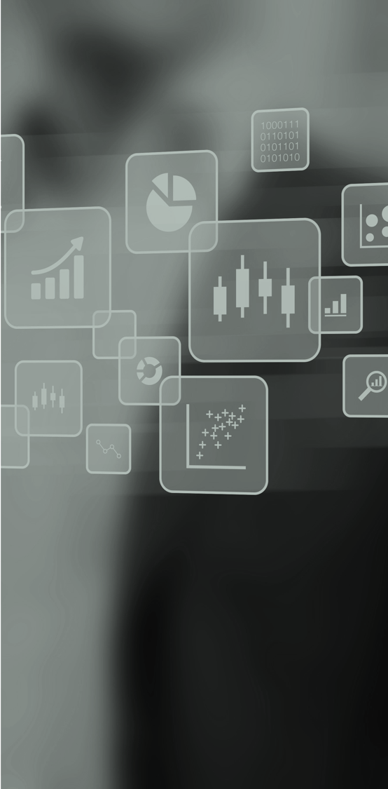 PLMPulse Exec Logo