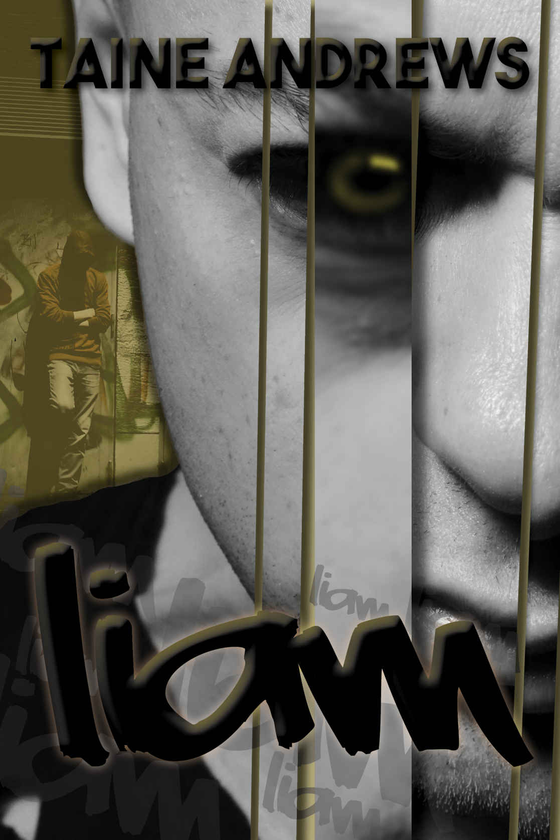 Cover for Liam, by Taine Andrews.