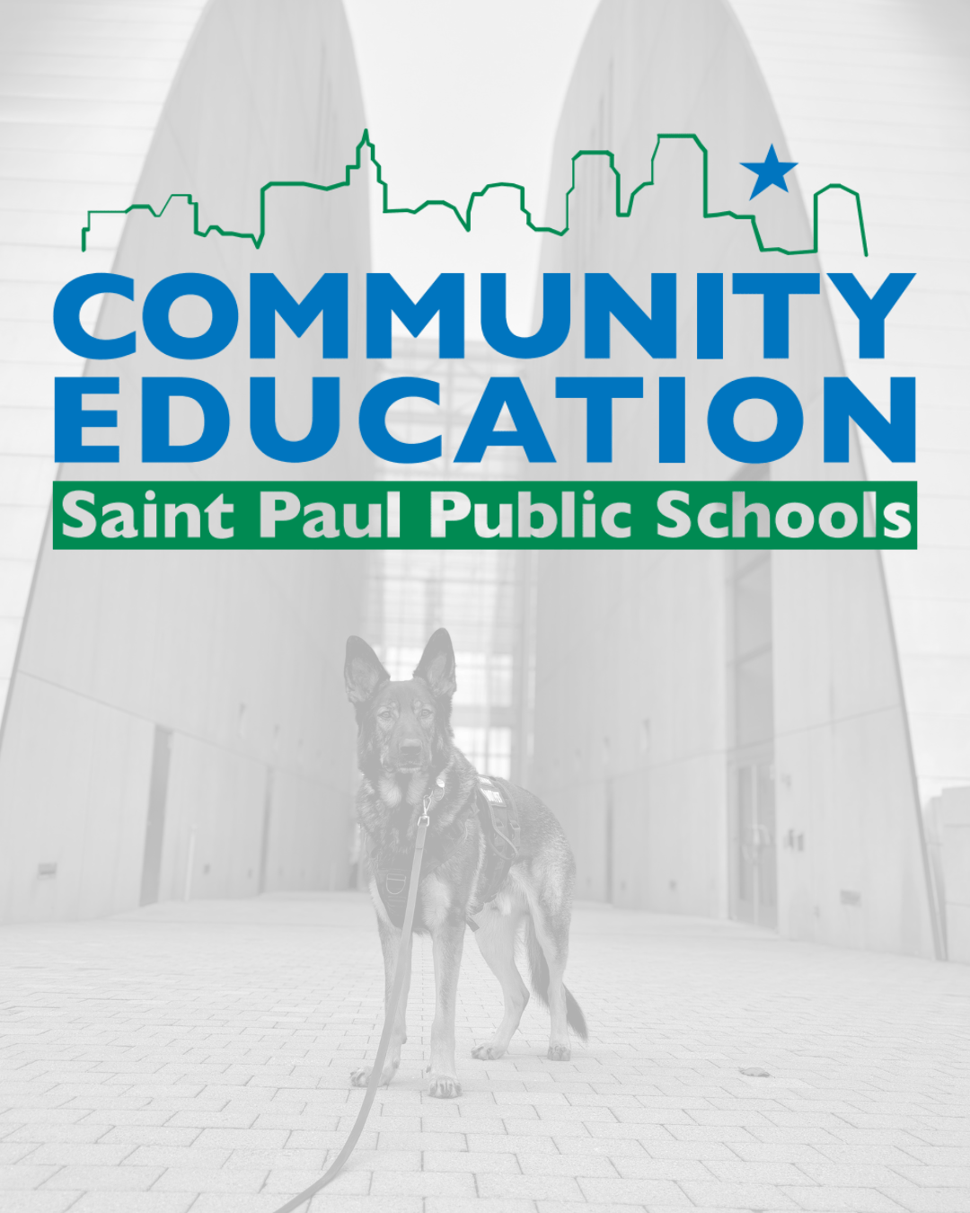 Canine educational workshops