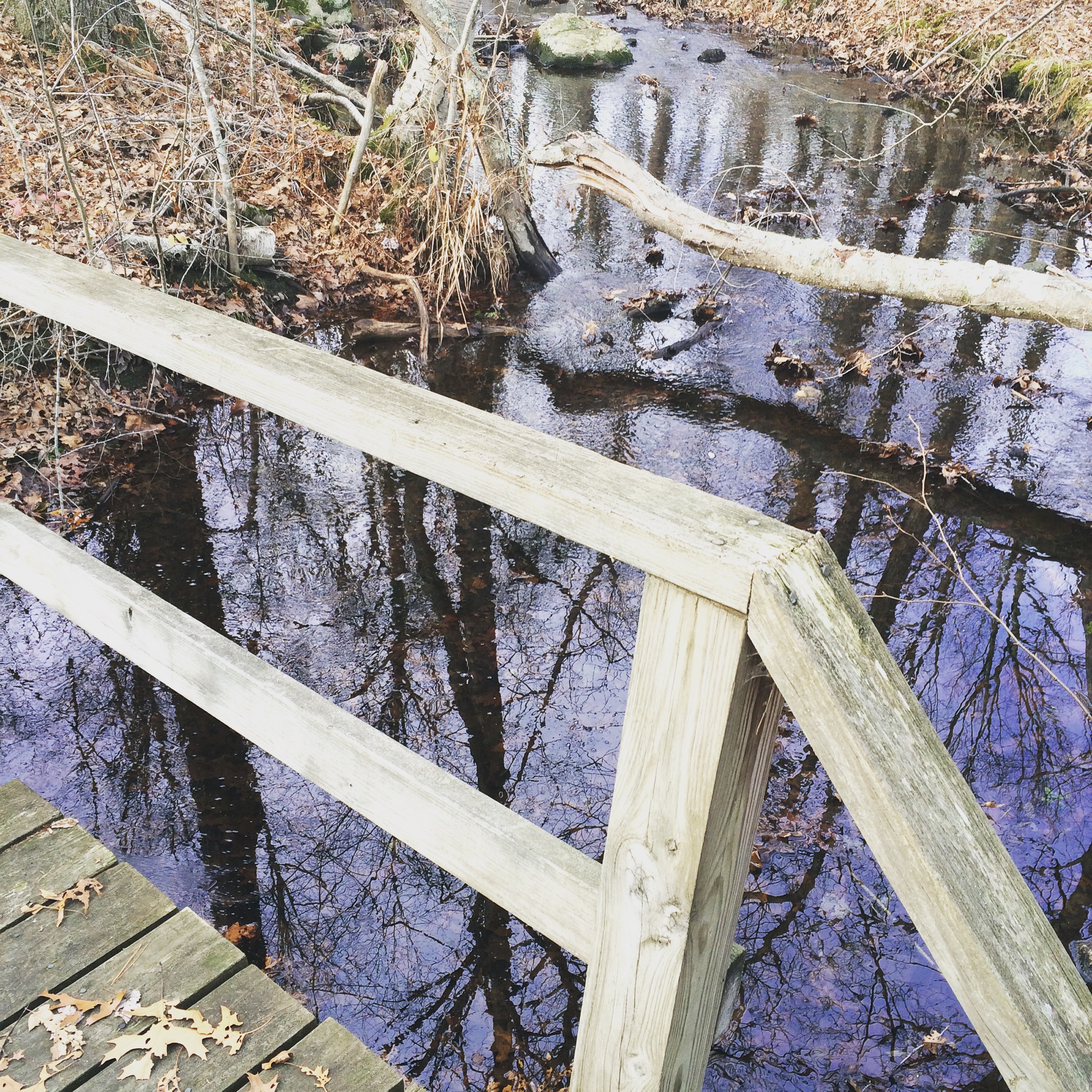 Photo of a creek taken over a small wooden bridge