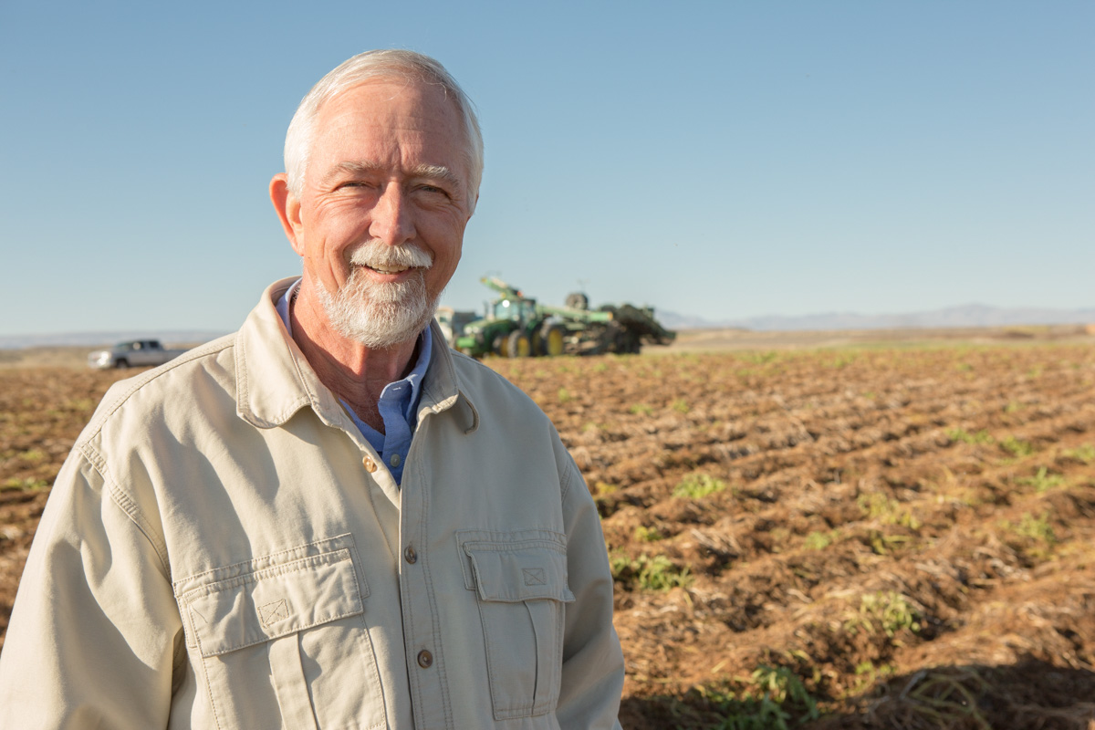 A white haired man stands in a potato field on a sunny day by buisness photographer Nick Reid.