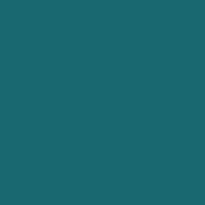 HSCC-Color-2