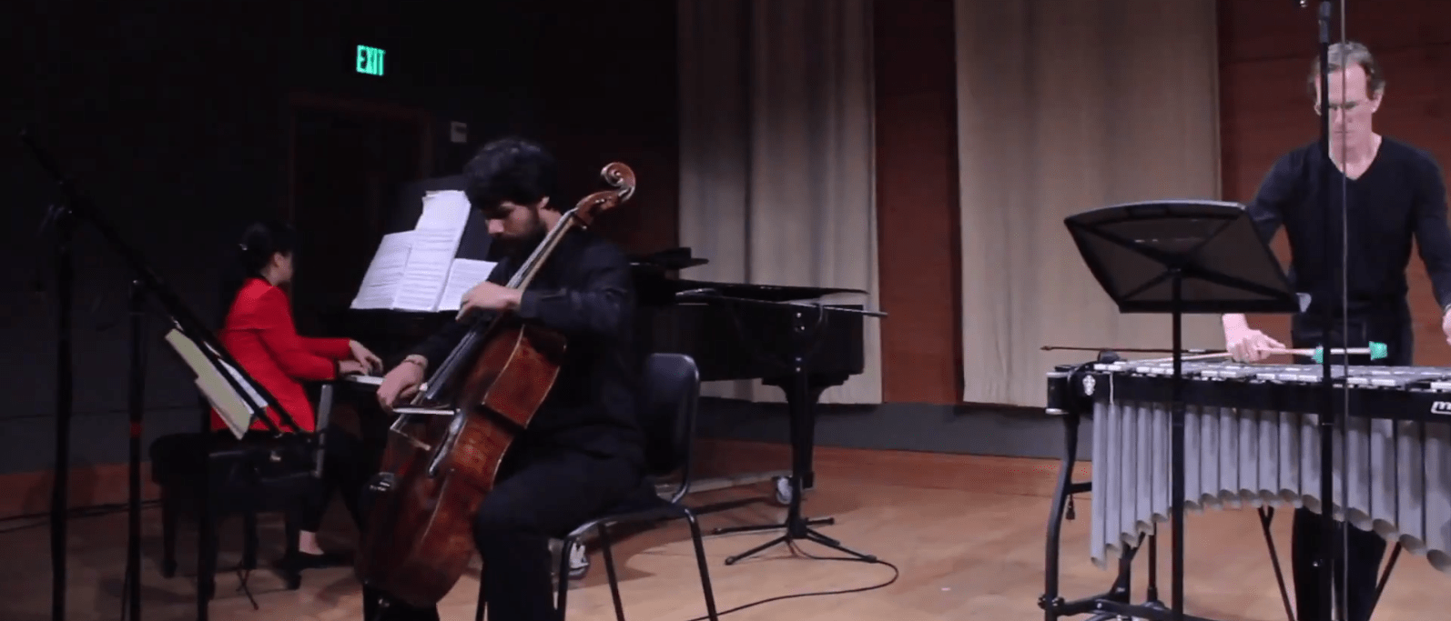 Only One Survives (2013) for cello, piano, and percussion.